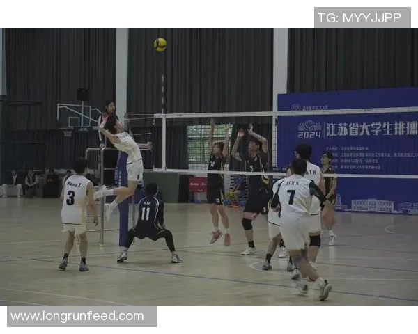 南京排球队心理素质提升之路：热议排球背后的心灵变革与团队协作